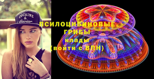 спиды Белокуриха